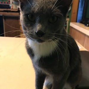 Meet your Posher, India